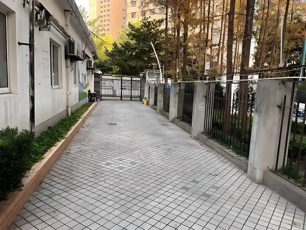 赌你要单身：摇摆拽女郎